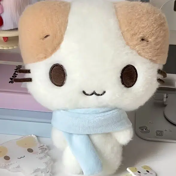 20cm30cm