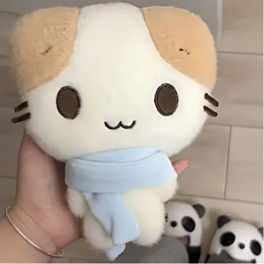 20cm30cm