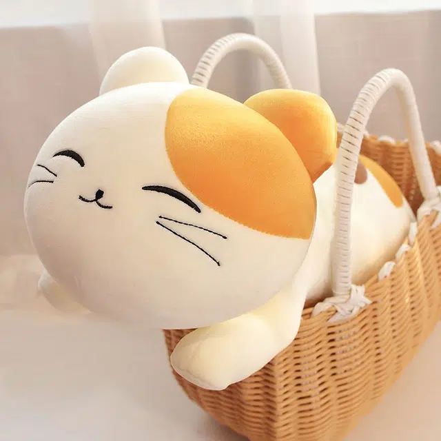 FKOFR 40cm50cm60cm80cm