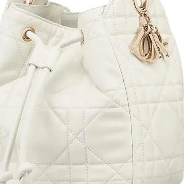 DIOR D-Motion