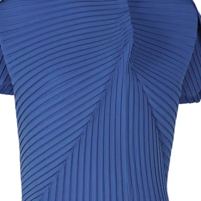 ISSEY MIYAKE FW25T