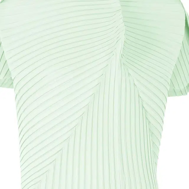 ISSEY MIYAKE FW25T