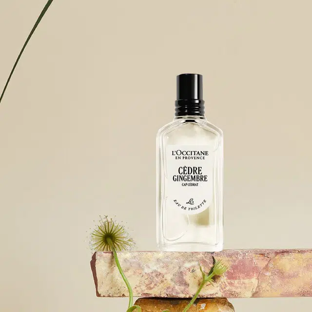 LOCCITANE Cdre Gingembre EDT 250ml+50ml