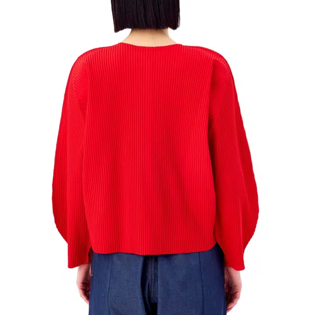ISSEY MIYAKE FW25