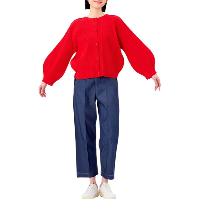 ISSEY MIYAKE FW25