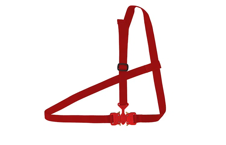 1017 ALYX 9SM Exhibition Limited Strap Red