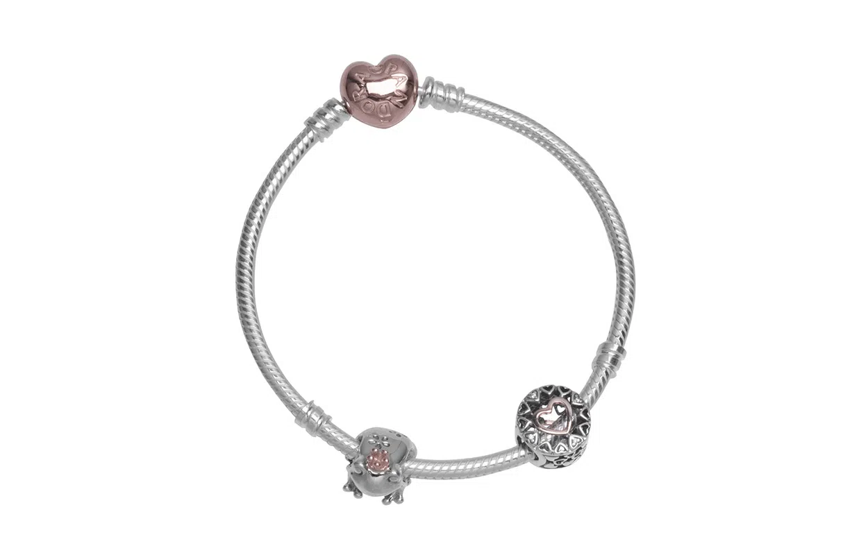 Pandora Frog Prince Snake Chain