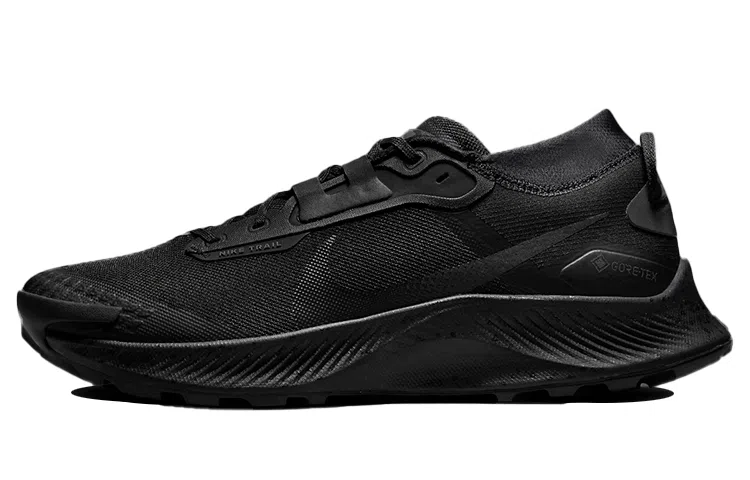 Nike Pegasus Trail 3 Gore-Tex Black