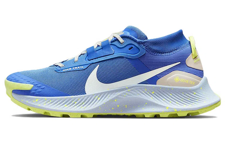 Nike Pegasus Trail 3 Gore-Tex Blue