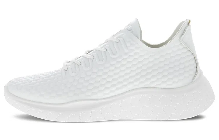 ecco Therap