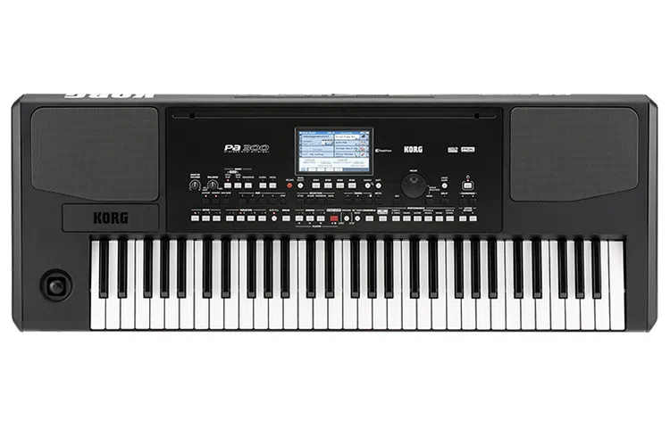 KORG PA300