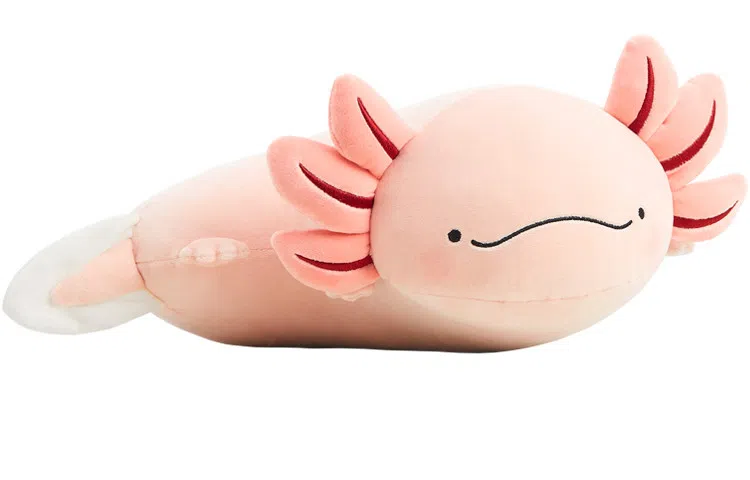 博物文创 抱抱 六角恐龙 玩偶 毛绒公仔