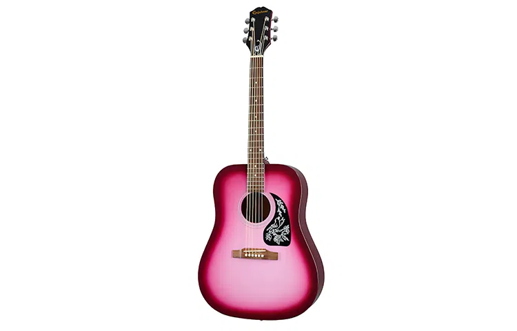 Epiphone Starling() 41D