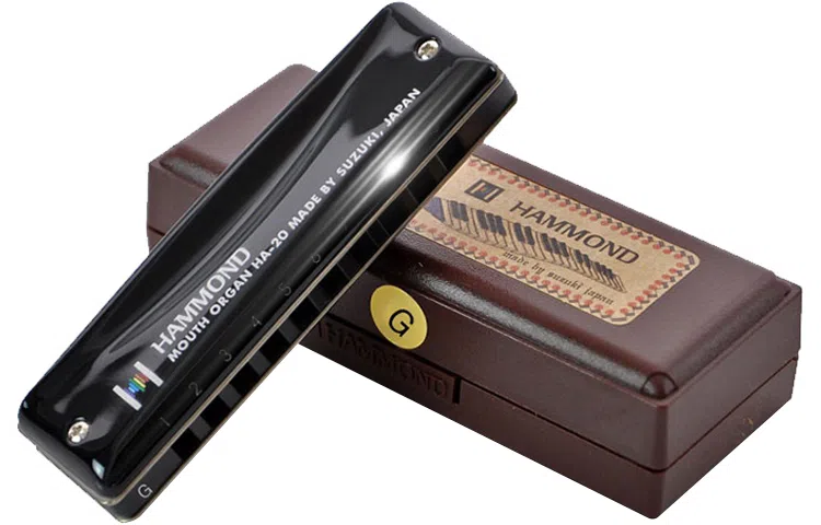 SUZUKI HA-20 Hammond( Blues 10