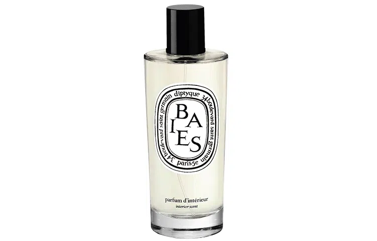 diptyque 100ml150ml