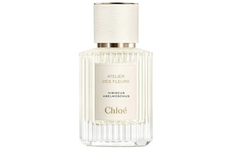 Chloe EDP 50ml150ml