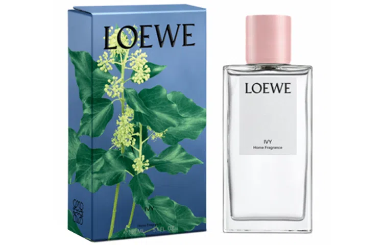 LOEWE EDT 150ml