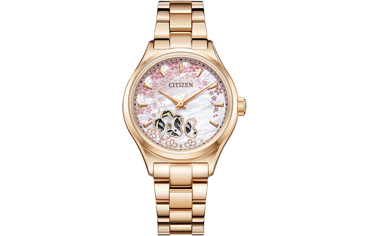 CITIZEN PC1019-66Y