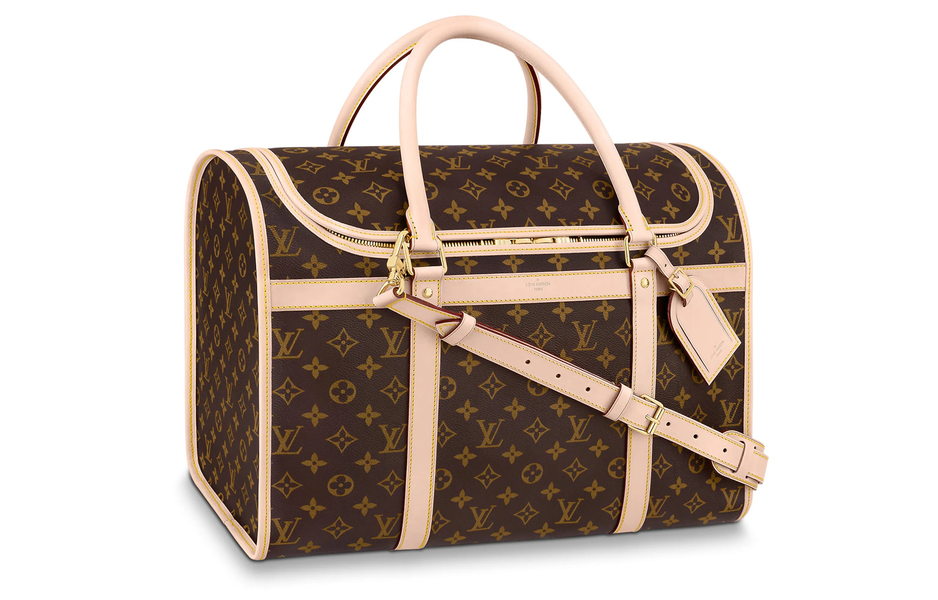 Louis Vuitton Dog Carrier 40