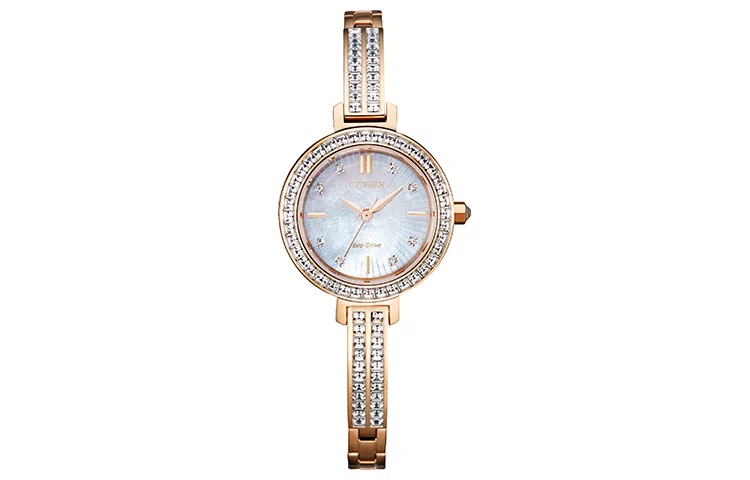 CITIZEN EM0863-53D