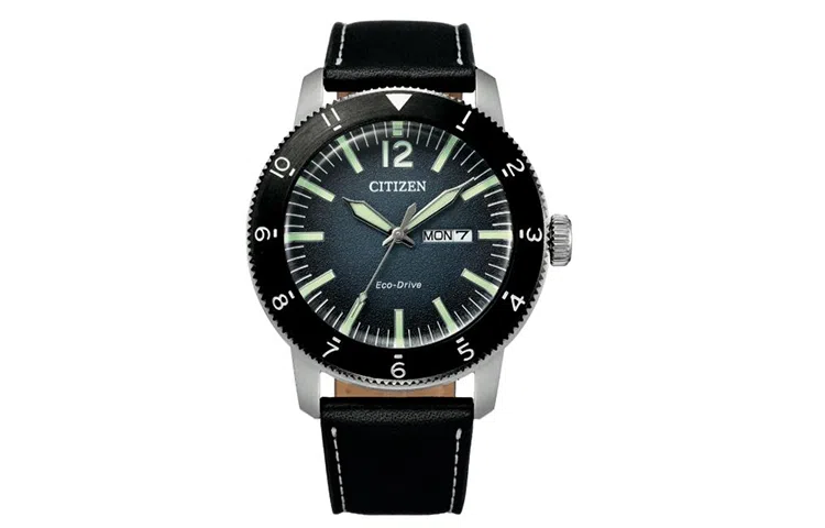 CITIZEN 100 AW0077-19LB