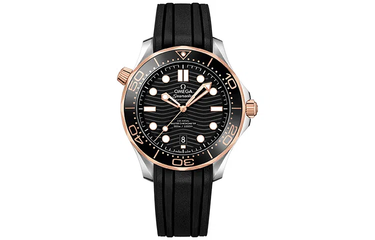 Omega Seamaster 210.22.42.20.01.002