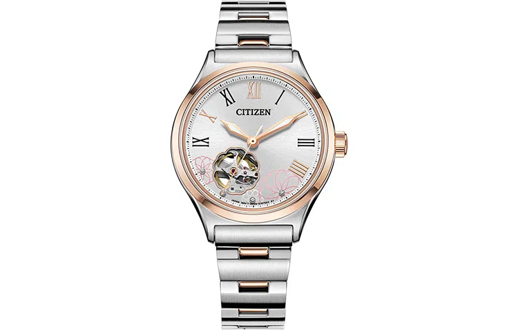 CITIZEN PC1008-89A