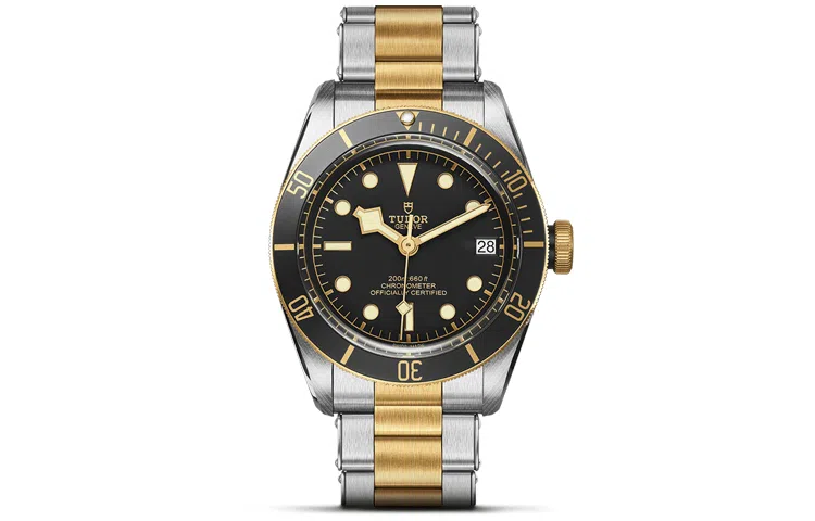 TUDOR 41mm M79733N-0008