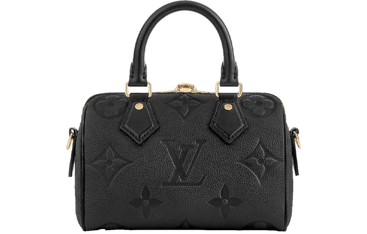 LOUIS VUITTON Speedy 20