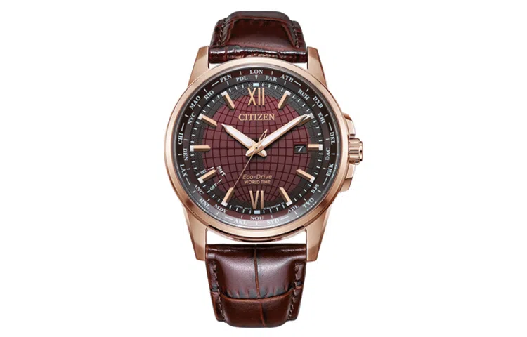 CITIZEN BX1009-10X