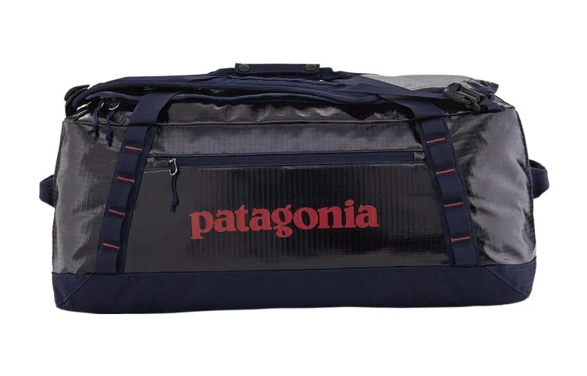 patagonia 55L Logo