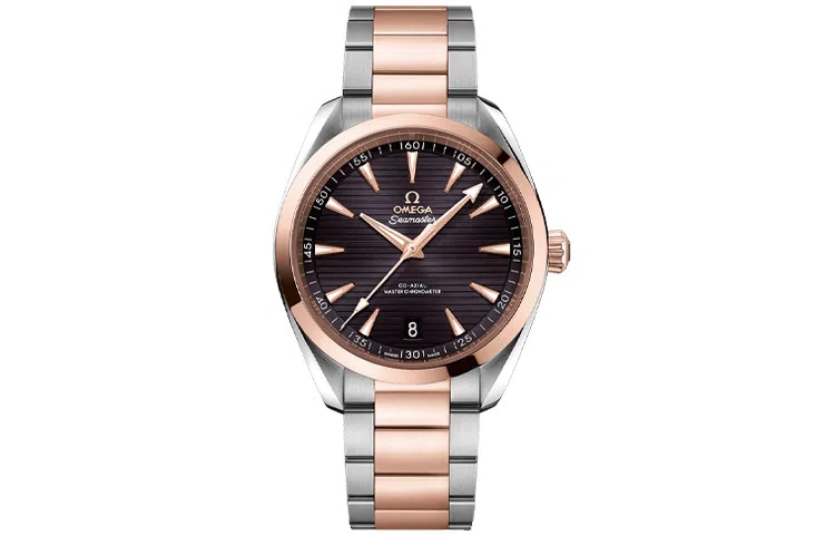 OMEGA Seamaster 220.20.41.21.06.001
