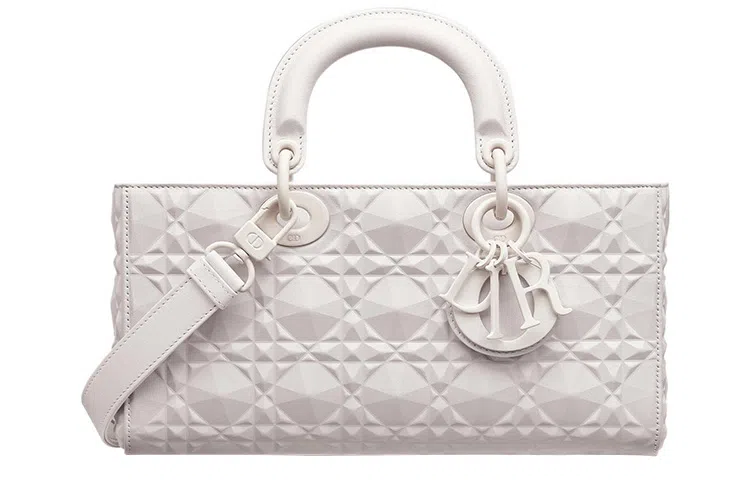 DIOR Lady D-JOY