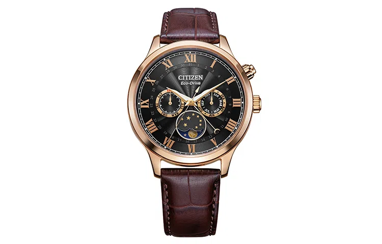 CITIZEN AP1059-19E