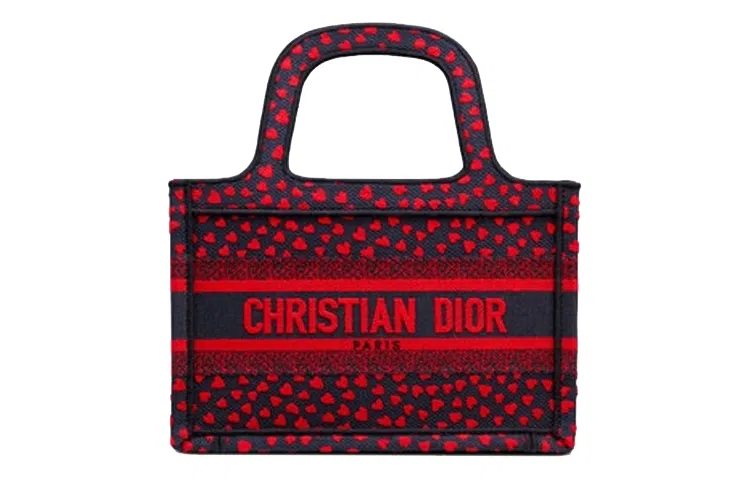 DIOR BookTote Tote