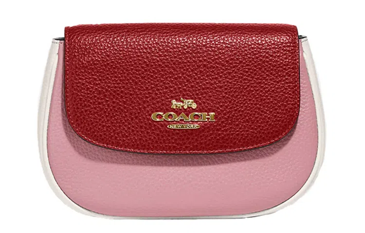 COACH Saddle 19