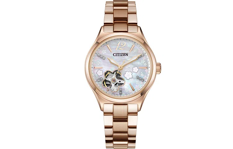 CITIZEN PC1018-69D