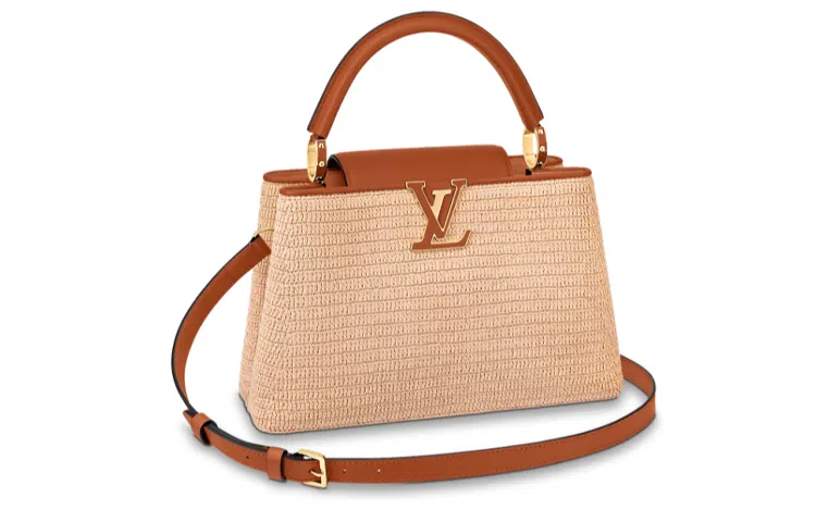 LOUIS VUITTON Summer Capucines