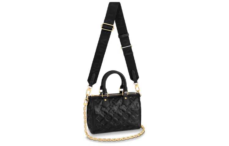 LOUIS VUITTON SpeedyBandoulire 22