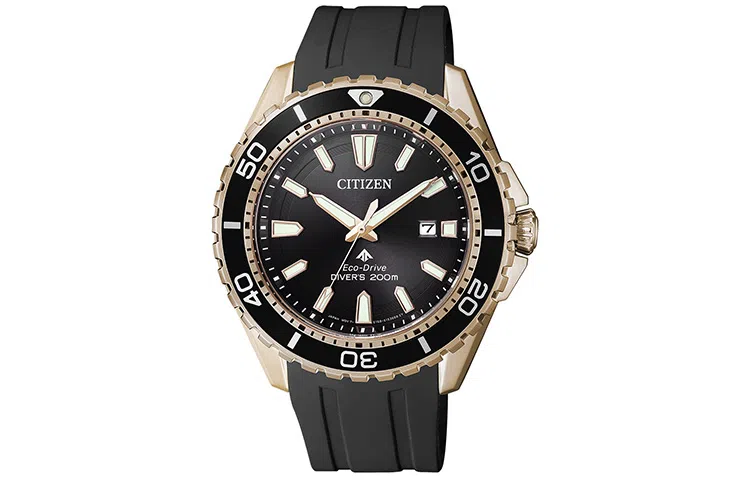 Citizen Promaster BN0193-17E