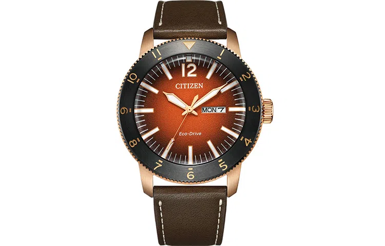CITIZEN 44mm AW0079-13X