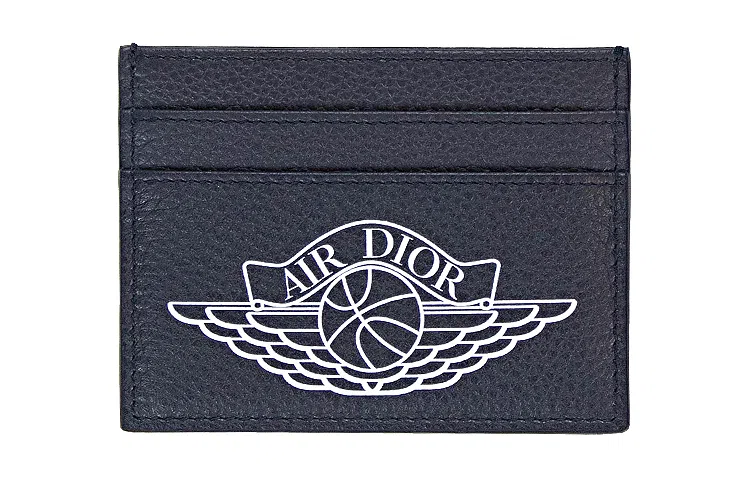 DIOR x Jordan Logo