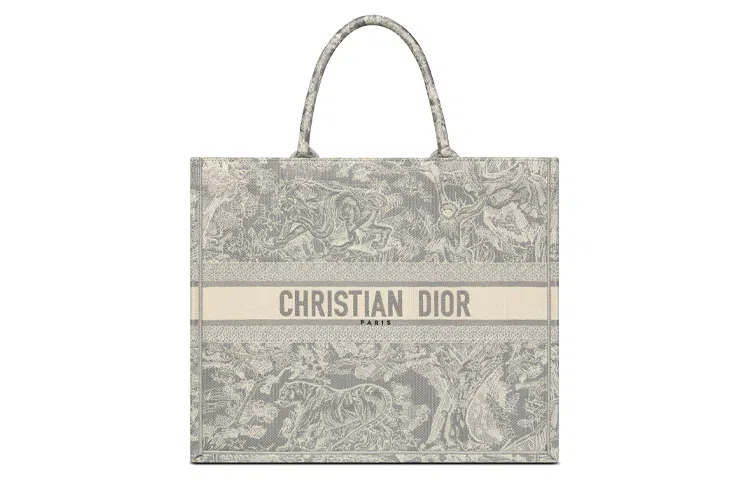 DIOR BookTote Tote