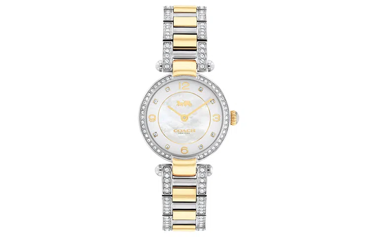 COACHCary 28mm 14503840