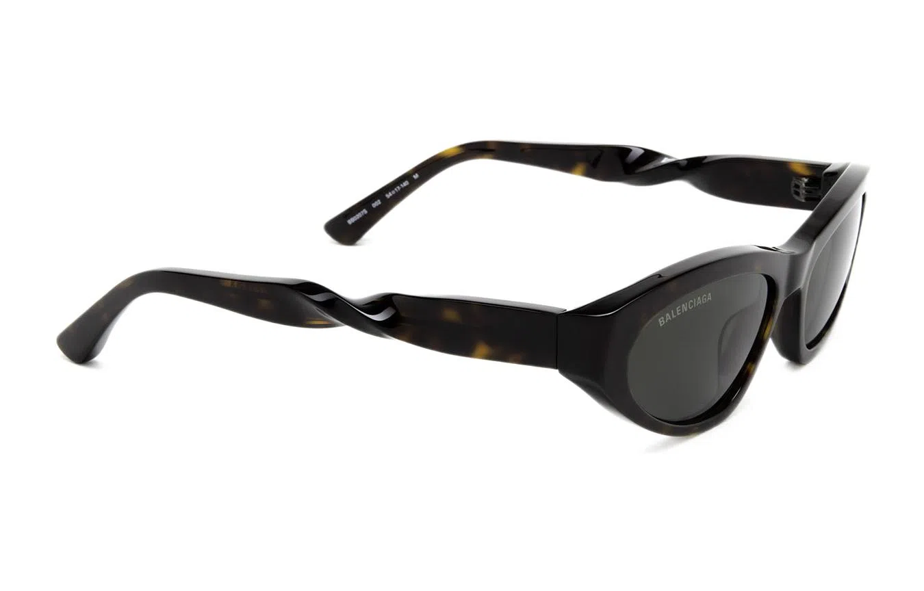 Balenciaga Sunglasses Brown