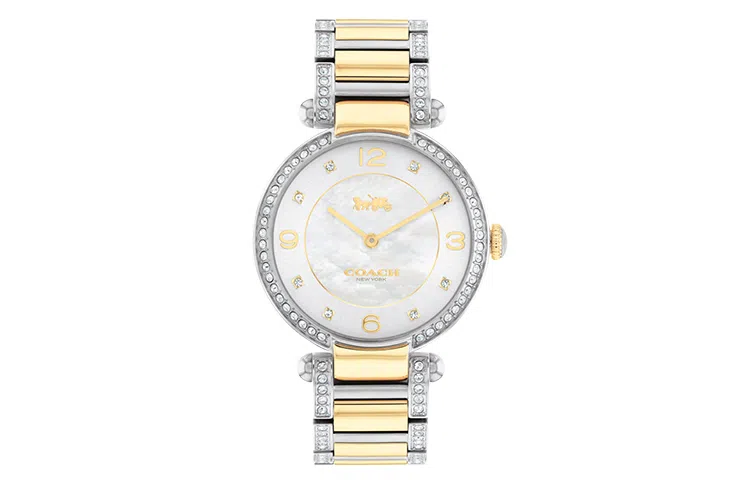 COACHCARY 34mm 30 14503833