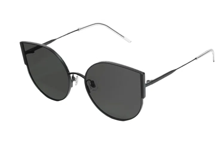 GENTLE MONSTER Chameleon