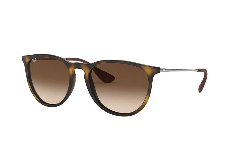 RayBan Erika Tortoise Brown Gradient