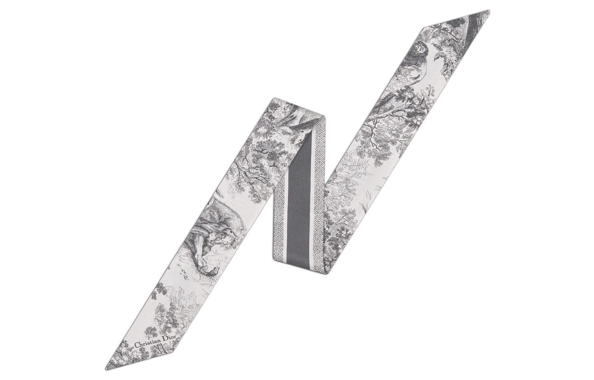 DIOR Twill Printed Silk Scarf Ivory Gray