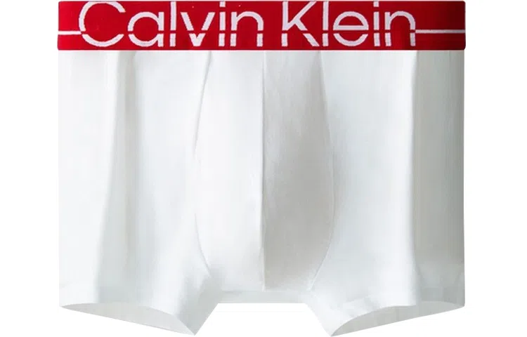 CKCalvin Klein Logo 1